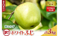 【2025年12月後半発送】【訳あり】葉とらずホワイトふじ3kg