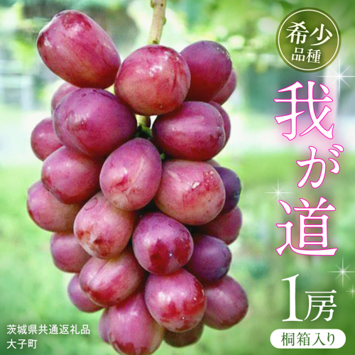 【桐箱入り】 我が道 １房【2025年9月上旬発送開始】(茨城県共通返礼品：大子町) シャインマスカット ウインク 葡萄 ブドウ ぶどう 果物 フルーツ 希少 新品種 贈答用 贈り物 ギフト プレゼント 2255055 - 茨城県牛久市