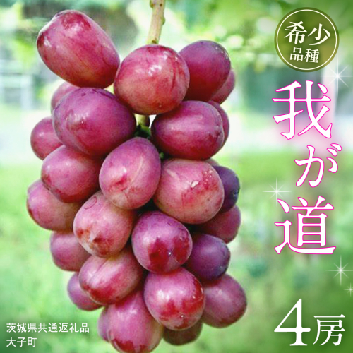 我が道 ４房【2025年9月上旬発送開始】(茨城県共通返礼品：大子町) シャインマスカット ウインク 葡萄 ブドウ ぶどう 果物 フルーツ 希少 新品種 2255206 - 茨城県牛久市