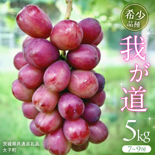 我が道 5kg (7～9房) 【2025年9月上旬発送開始】(茨城県共通返礼品：大子町) シャインマスカット ウインク 葡萄 ブドウ ぶどう 果物 フルーツ 希少 新品種 2255208 - 茨城県牛久市