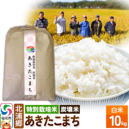 【特別栽培米 炭壌米 あきたこまち】令和7年産 新米 先行受付 白米 10kg 2255212 - 秋田県仙北市