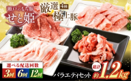 [全12回定期便]バラエティセット約1,200g mn(肩ロース・バラ・小間切れ・豚トロ 各300g) 豚肉 ぶたにく こま切れ ロース しゃぶしゃぶ 小分け 美味しい おいしい 絶品 国産 ブランド豚 もち豚 大容量 お得 ピートロ 豚こま 切り落とし 炒め物 煮物 豚汁 生姜焼き 万能 便利 ストック 業務用 ギフト 贈り物 お中元 お歳暮 [BAER081]