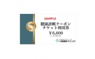 川崎健診クリニック　健康診断クーポンチケット6,600円分