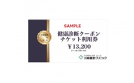 川崎健診クリニック　健康診断クーポンチケット13,200円分