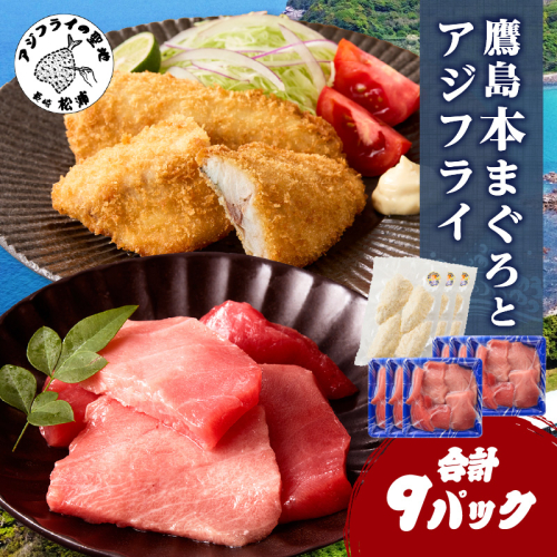 鷹島産本まぐろ 食べきりサイズ(80g×6p)とアジフライのセット(4枚×3p) ( 本まぐろ マグロ 鷹島産本まぐろ アジフライ あじ フィレタイプ ) 【C0-099】 2256071 - 長崎県松浦市