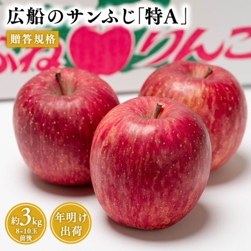 年明け 贈答規格 広船のサンふじ 約3kg「特A」【広船アップルクラブ・平川市広船産・青森りんご・1月・2月】 2256076 - 青森県平川市