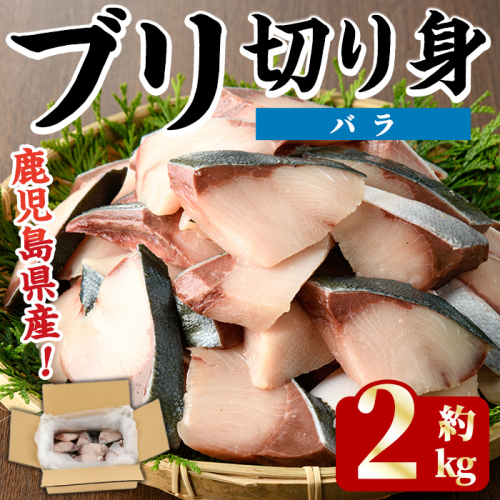 <先行予約受付中!2025年11月以降順次発送予定>ブリの切り身(バラ・約2kg) 国産 鹿児島県産 ブリ 鰤 魚貝 魚介 海産物 焼き魚 煮つけ ブリカツ バラ 【株式会社島水】akn102-02 2256078 - 鹿児島県阿久根市