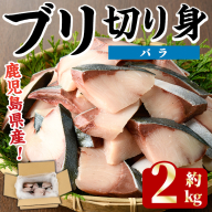 ＜先行予約受付中！2025年11月以降順次発送予定＞ブリの切り身(バラ・約2kg) 国産 鹿児島県産 ブリ 鰤 魚貝 魚介 海産物 焼き魚 煮つけ ブリカツ バラ 【株式会社島水】akn102-02