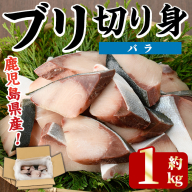 ＜先行予約受付中！2025年11月以降順次発送予定＞ブリの切り身(バラ・約1kg) 国産 鹿児島県産 ブリ 鰤 魚貝 魚介 海産物 焼き魚 煮つけ ブリカツ バラ 【株式会社島水】akn102-01