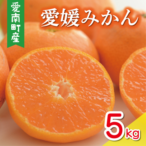 数量限定 先行予約 愛媛みかん 5kg 10000円 温州みかん こたつ みかん mikan 蜜柑 ミカン 国産 期間限定 特産品 ギフト プレゼント お歳暮 産地直送 農家直送 人気 限定 甘い フルーツ 果物 柑橘 おいしい 小玉 含む おいしい 岡平農園 愛南町 愛媛県 2256345 - 愛媛県愛南町