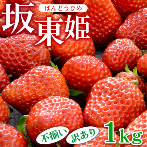 坂東姫 1kg 不揃い訳あり｜いちご 苺 イチゴ 訳あり 坂東太郎 果物 フルーツ 紅ほっぺ オリジナル ブランド 期間限定 季節物 茨城県 古河市_CB21 ※北海道・沖縄・離島への配送不可 ※2025年12月下旬頃より順次発送予定 2256348 - 茨城県古河市