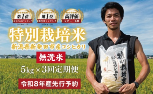 【令和8年産定期便3ヵ月先行予約】 定期便 コシヒカリ 無洗米 5kg 3ヵ月 15kg 令和8年産 特別栽培米 こしひかり 米 お米 こめ 新潟米 新潟県産 新潟産 新潟 新潟県 新発田産 新発田 新発田市 斗伸 toushin073_01 2256533 - 新潟県新発田市