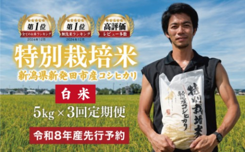 【令和8年産定期便3ヵ月先行予約】 定期便 コシヒカリ 白米 5kg 3ヵ月 15kg 令和8年産 特別栽培米 こしひかり 米 お米 こめ 新潟米 新潟県産 新潟産 新潟 新潟県 新発田産 新発田 新発田市 斗伸 toushin074_01 2256534 - 新潟県新発田市
