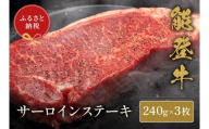 能登牛 サーロイン ステーキ 240g x 3枚 牛肉 肉 ステーキ 希少 和牛 とろける 柔らか 口当たり ブランド牛 黒毛和牛 高品質 お祝い ふるさと納税 石川 能登 羽咋 能登半島 災害支援 復興 支援