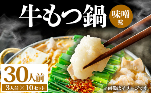 牛もつ鍋 味噌味 30人前（3人前×10セット） PE008 2256838 - 福岡県篠栗町