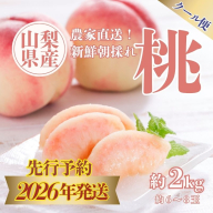 [2026年発送 先行予約]山梨県産 桃約2kg(6〜8玉)|桃 2026年先行 先行予約 フルーツ もも 2026年