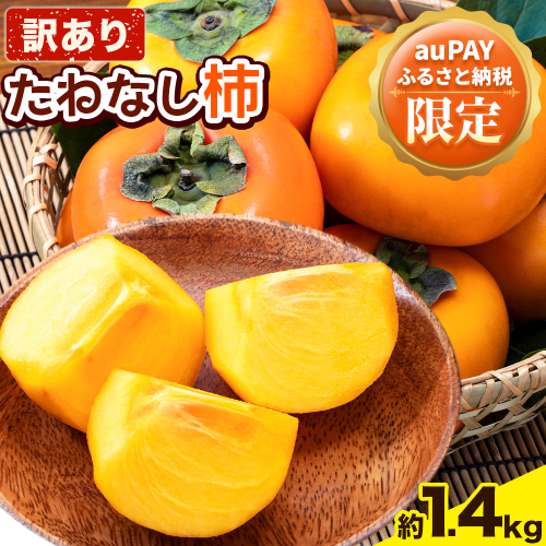【auPAYふるさと納税限定】【ご家庭用/訳あり】たねなし柿1.4kg《2025年9月中旬-11月上旬頃より出荷予定》 和歌山県 紀の川市 柿 カキ かき ジューシー フルーツ 2256887 - 和歌山県紀の川市