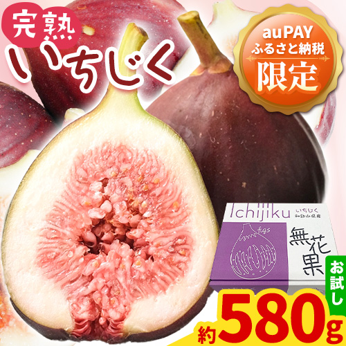 【auPAYふるさと納税限定】旬の味覚をお試しで! 完熟いちじく 約580g (約290g×2パック) パック いちじく イチジク 無花果 JAわかやま 紀の里地域本部《2025年9月上旬-11月上旬頃出荷》 和歌山県 紀の川市 青果物 果物 くだもの フルーツ スイーツ 2256888 - 和歌山県紀の川市
