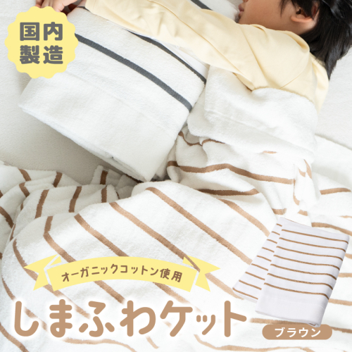 しまふわケット 1枚 ブラウン【国産 日本製 タオルケット シングル 寝具 オーガニックコットン 綿100%】 099H3816 2256909 - 大阪府泉佐野市