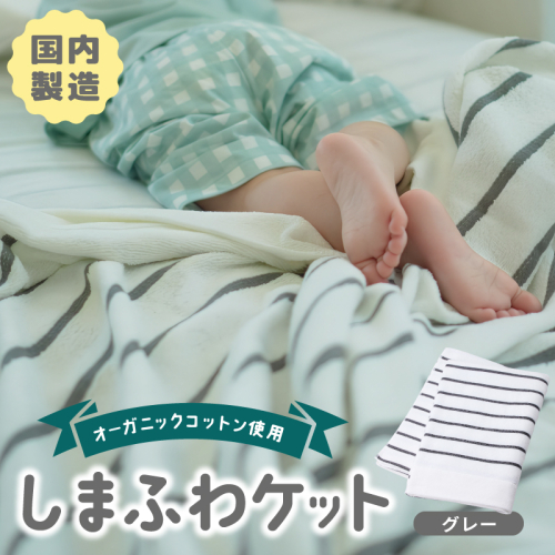 しまふわケット 1枚 グレー【国産 日本製 タオルケット シングル 寝具 オーガニックコットン 綿100%】 099H3817 2256910 - 大阪府泉佐野市