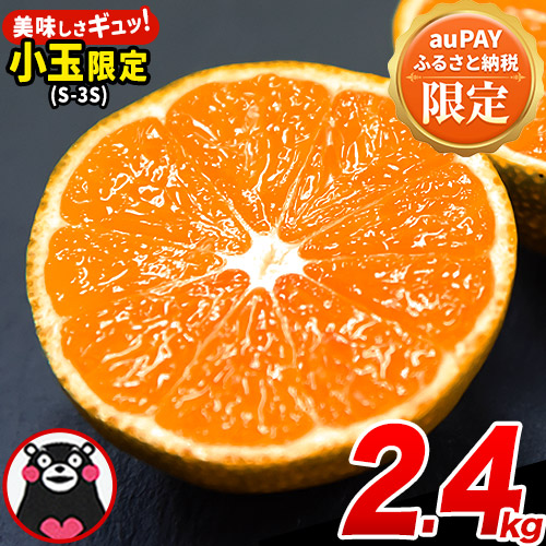 【auPAYふるさと納税限定】先行予約 みかん 訳あり 小玉 くまもと小玉みかん 2.4kg (2.4kg×1箱)ご家庭用 たっぷり 熊本県産 S-3Sサイズ フルーツ 旬 柑橘 長洲町 温州みかん 早生 中生 晩生《2025年10月中旬-12月末頃出荷》 2256925 - 熊本県長洲町