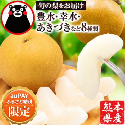 【auPAYふるさと納税限定】 梨 くまもと梨 秋 旬 なし 幸水 豊水 果物 くだもの フルーツ あきづき 甘太 新高 新興 約3.4kg 5玉~15玉前後 熊本県産【着日指定不可】《2025年8月下旬‐11月中旬頃より順次発送》旬 果物 お取り寄せ
2256927 - 熊本県長洲町