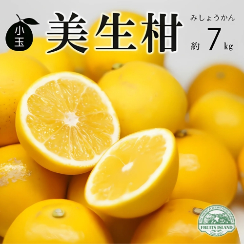 数量限定 訳あり 小玉 美生柑 約7kg 小粒  河内晩柑 ばんかん 柑橘類 フルーツ 果物 くだもの 果実 夏文旦 晩生柑 みかん 蜜柑 わけあり 傷 規格外 愛媛県 愛南町 2256929 - 愛媛県愛南町