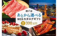あとから選べるWEBカタログギフト（寄附300万円コース）900000ポイント神戸市