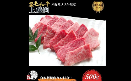 黒毛和牛めす牛 上焼肉 500g 自家製焼肉のたれ付 ／ ふるさと納税 焼肉 ギフト セット 食材 黒毛和牛 モモ バラ 牛肉 肉 お中元 お歳暮 正月 和牛 食べ物 奈良県 宇陀市 福寿館
 2257189 - 奈良県宇陀市