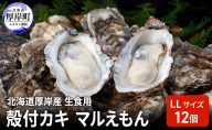 北海道厚岸産 生食用 殻付カキ LLサイズ  12個　マルえもん 魚貝類 海の幸 海のミルク 海鮮 国産 北海道産 オイスター つまみ お酒 あて 肴 生牡蠣 メルマガ掲載商品1