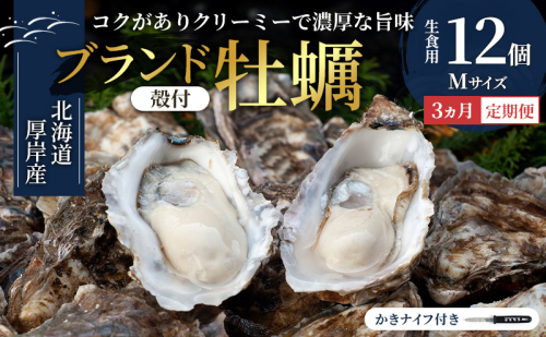 【 3ヵ月 定期便 】 北海道厚岸産 生食用 殻付カキ Mサイズ  12個　マルえもん 魚貝類 海の幸 海のミルク 海鮮 国産 北海道産 オイスター つまみ お酒 あて 肴 生牡蠣 メルマガ掲載商品1 2257246 - 北海道厚岸町