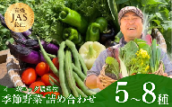 Chavi Peltofarmの季節のオーガニック農産物（有機認証農産物）5種～  |  JAS有機認証取得  有機 認証 農産物 オーガニック 野菜 野菜の詰め合わせ 野菜の詰合せ やさい DaisyFresh chavi pelto 直送 新鮮 美味しい 埼玉県 草加市