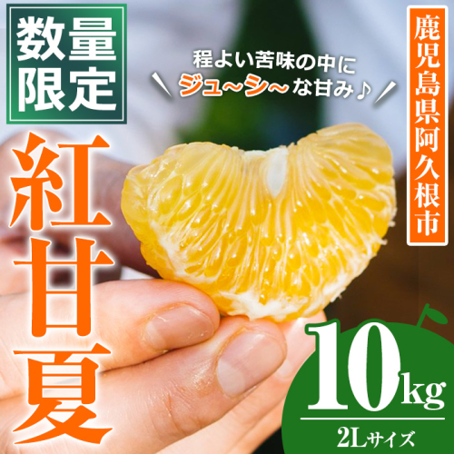 ＜先行予約受付中！2026年3月中旬以降順次発送予定＞数量限定！鹿児島県産 紅甘夏 (10kg・2L) 柑橘 フルーツ 果物 国産 みかん 期間限定 数量限定 ベニアマナツ ミカン 旬 【株式会社イロドリ】akn069-10 2257280 - 鹿児島県阿久根市