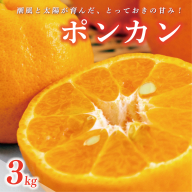 数量限定 先行受付 ポンカン 3kg 10000円 ぽんかん 国産 産地直送 農家直送 特産品 ギフト プレゼント ゼリー ジュース アイス 冷凍 みかん 等に 人気 限定 甘い フルーツ 果物 柑橘 美味しい おいしい 小玉 含む ジューシー サイズ ミックス 岡平農園 愛南町 愛媛県