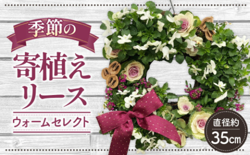 No.147 【季節の寄植えリース】ウォームセレクト＊花工房すなが＊   225765 - 埼玉県鴻巣市