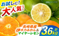 ※【2025年11月中旬より順次発送／先行予約】【大人気みかんとレモンのお試しセット】伊木力みかん(家庭用)1.8kg マイヤーレモン1.8kg 計3.6kg / みかん ミカン 蜜柑 mikan 柑橘 かんきつ レモン れもん 檸檬 果汁 果物 / 諫早市 / 山野果樹園 [AHCF016]