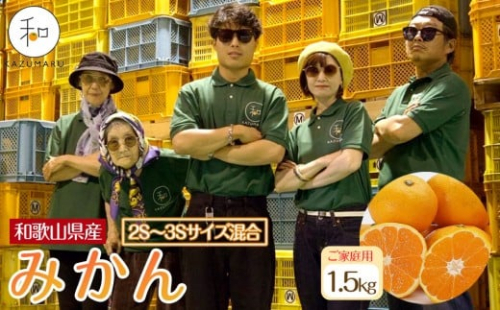 家庭用 森本農園の手選別 小粒みかん 約1.5kg 和歌山県産 2S・3Sサイズ混合 ［北海道・沖縄・離島配送不可］［2025年11月上旬から順次発送］［RN59］ 2257867 - 和歌山県上富田町