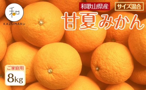家庭用 森本農園の手選別 甘夏みかん 約8kg 和歌山県産 サイズ混合 ［北海道・沖縄・離島配送不可］［2026年4月上旬から順次発送］［RN71］ 2257880 - 和歌山県上富田町