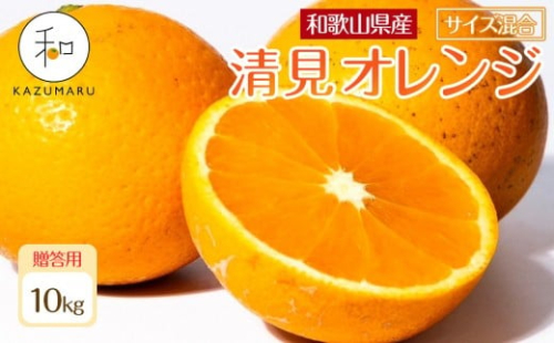 贈答用 森本農園の手選別 厳選清見オレンジ 約10kg 和歌山県産 サイズ混合 ［北海道・沖縄・離島配送不可］［2026年2月上旬から5月中旬頃順次発送予定］［RN90］ 2257899 - 和歌山県上富田町