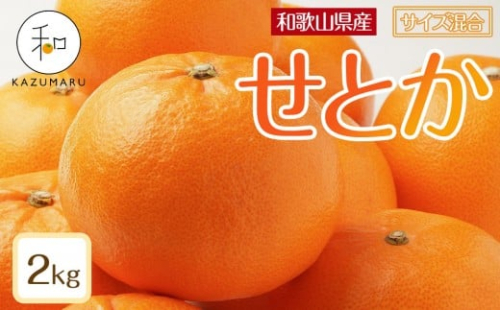 森本農園の手選別 せとか 約2kg 和歌山県産 サイズ混合 ［北海道・沖縄・離島配送不可］［2026年2月上旬から順次発送予定］［RN129］★ 2257937 - 和歌山県上富田町
