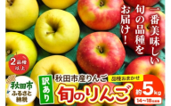 【訳あり】秋田市産りんご 旬の品種おまかせ 約5kg（14～18玉前後）