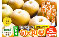 【訳あり】秋田市産 和梨 旬の品種おまかせ 約5kg（12～16玉前後）