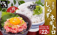 釜揚げしらすとネギトロ二色丼セット(しらす30g×11・ネギトロ30g×11/計22パック) | 冷凍 小分け 釜揚しらす 魚 常備品 しらす丼 しらすパスタ しらすチャーハン 炒飯 しらす干し 海鮮丼 ねぎとろ まぐろ ねぎとろ丼 おつまみ たんぱく質 愛媛県 松山市