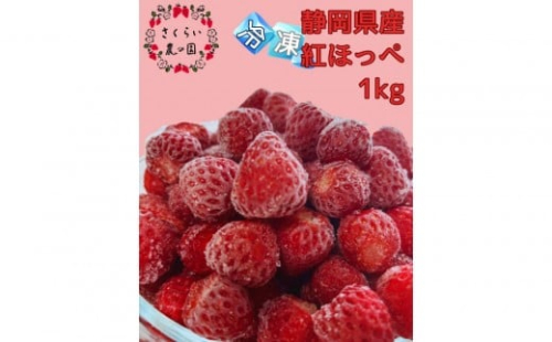 【訳アリ 冷凍いちご】静岡県産の完熟紅ほっぺを使用した冷凍いちご1kg【静岡県産】 2258071 - 静岡県御前崎市