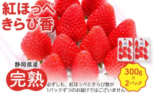 先行受付【静岡県産いちご】完熟紅ほっぺ・きらぴ香2パックセット（300g×2パック）【2026年1月下旬以降発送予定】 2258074 - 静岡県御前崎市