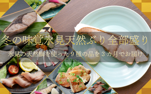 【3回定期便】冬の味覚氷見天然ぶり全部盛り ＜2025年12月以降順次発送＞  寒ぶり 限定 鰤 富山県 氷見市
 2258182 - 富山県氷見市