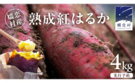 【 10月下旬発送開始 】嬬恋産 熟成 さつまいも 紅はるか 4kg 芋 いも サツマイモ 野菜 通販 お取り寄せ 嬬恋産 おいもやかんばら 農園 野菜 詰合せ 群馬 先行受付 [BR001tu]