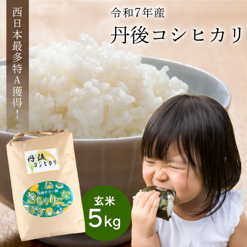【3ヶ月定期便】直売所直送「令和7年産 京丹後市産 コシヒカリ」 玄米5kg 2258368 - 京都府京丹後市