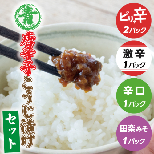 青唐辛子こうじ漬けセット【ピリ辛・辛口・激辛・田楽みそ】ごはん お弁当 おつまみ トッピング おすそ分け(AK009) 2258525 - 栃木県益子町