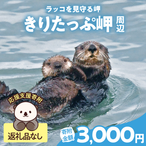 ラッコを見守る岬「きりたっぷ岬」周辺の環境整備　3000円分 返礼品なし_H0028-009 2258528 - 北海道浜中町